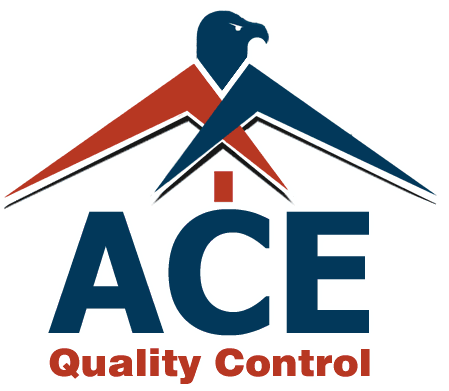 ACE - Web Logo